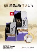 爵加新品幼貓精選上市！