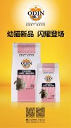 奧丁精品幼貓糧閃耀登場(chǎng)?。?！