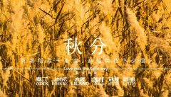 秋分丨晝夜分畫(huà)，漸入秋華