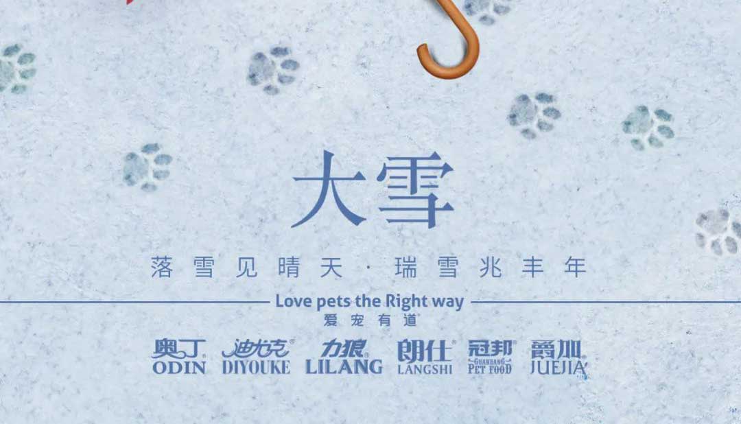 大雪丨雪落知寒意 久伴見(jiàn)初心！