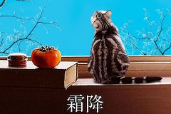 霜降丨縱然霜華盡染，心中美好如初